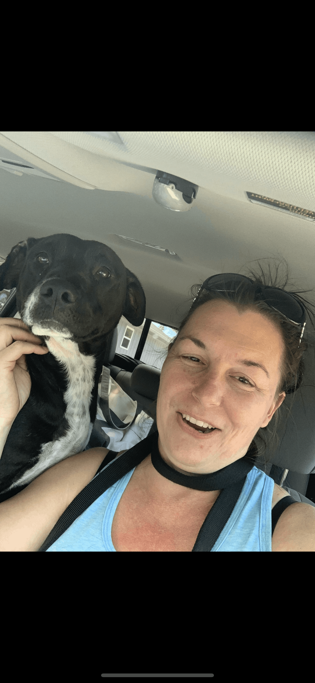 Clay County Animal Shelter, Inc