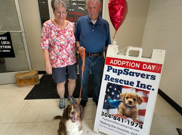 PupSavers Rescue Inc.