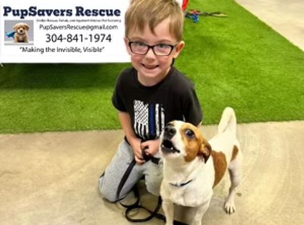 PupSavers Rescue Inc.