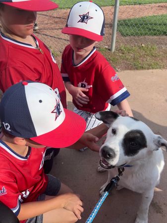 PupSavers Rescue Inc.