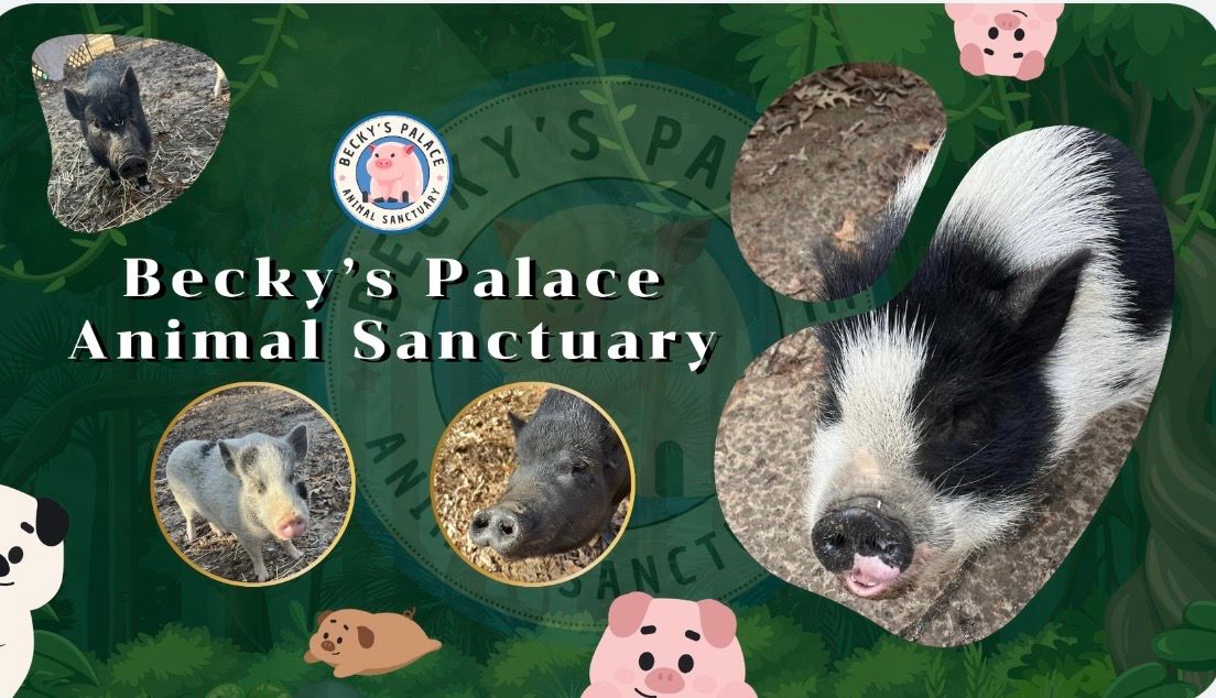 Becky’s Palace Animal Sanctuary