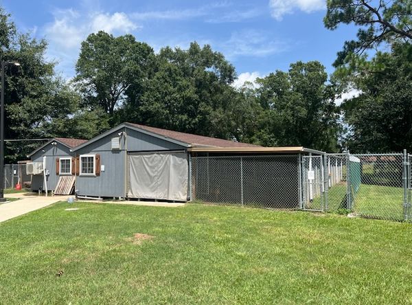 Animal Rescue Alliance, Inc.