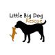 Little Big Dog Rescue, Inc.