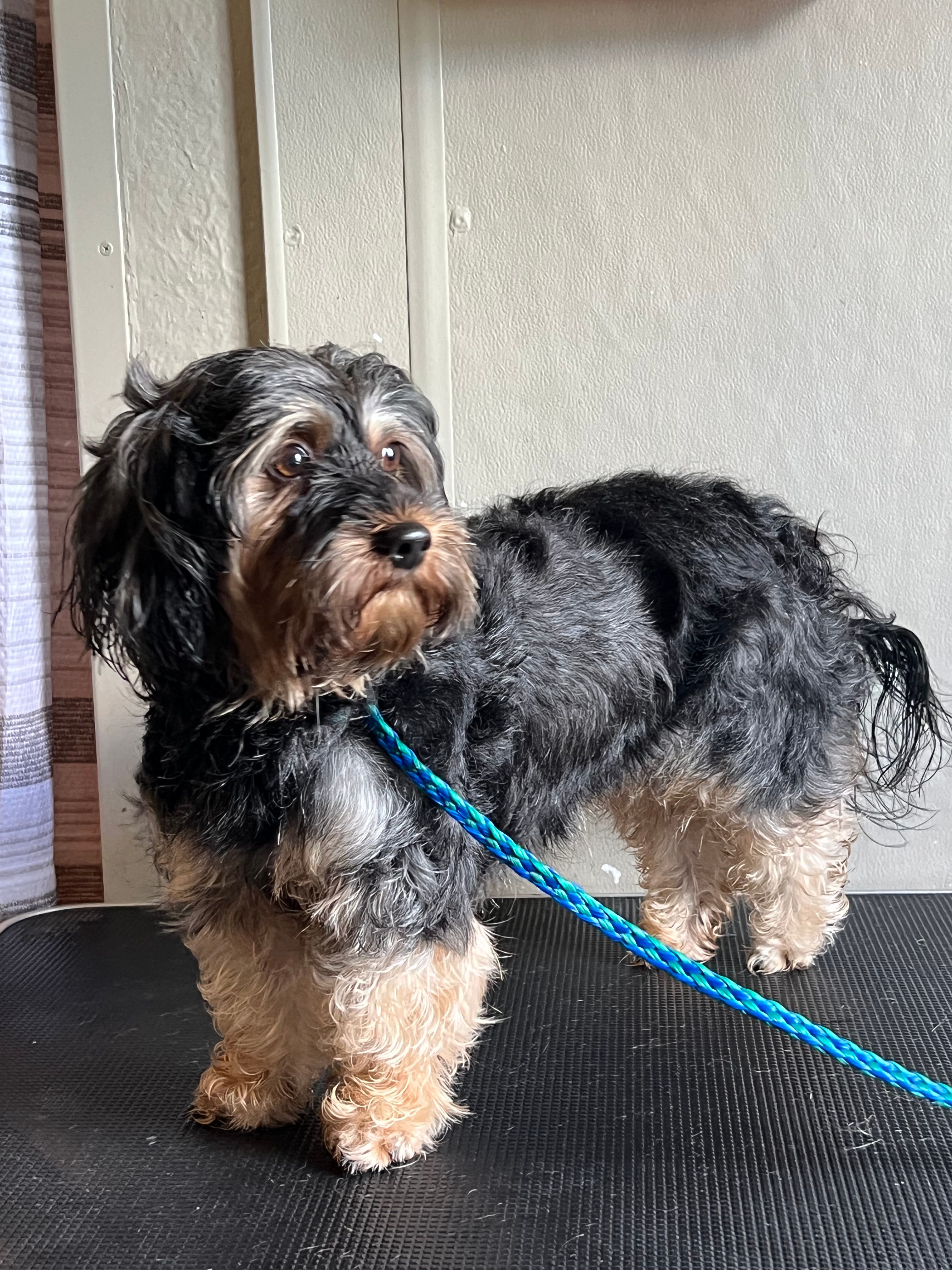 Faribault County Humane Society