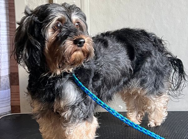 Faribault County Humane Society