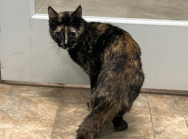 Faribault County Humane Society