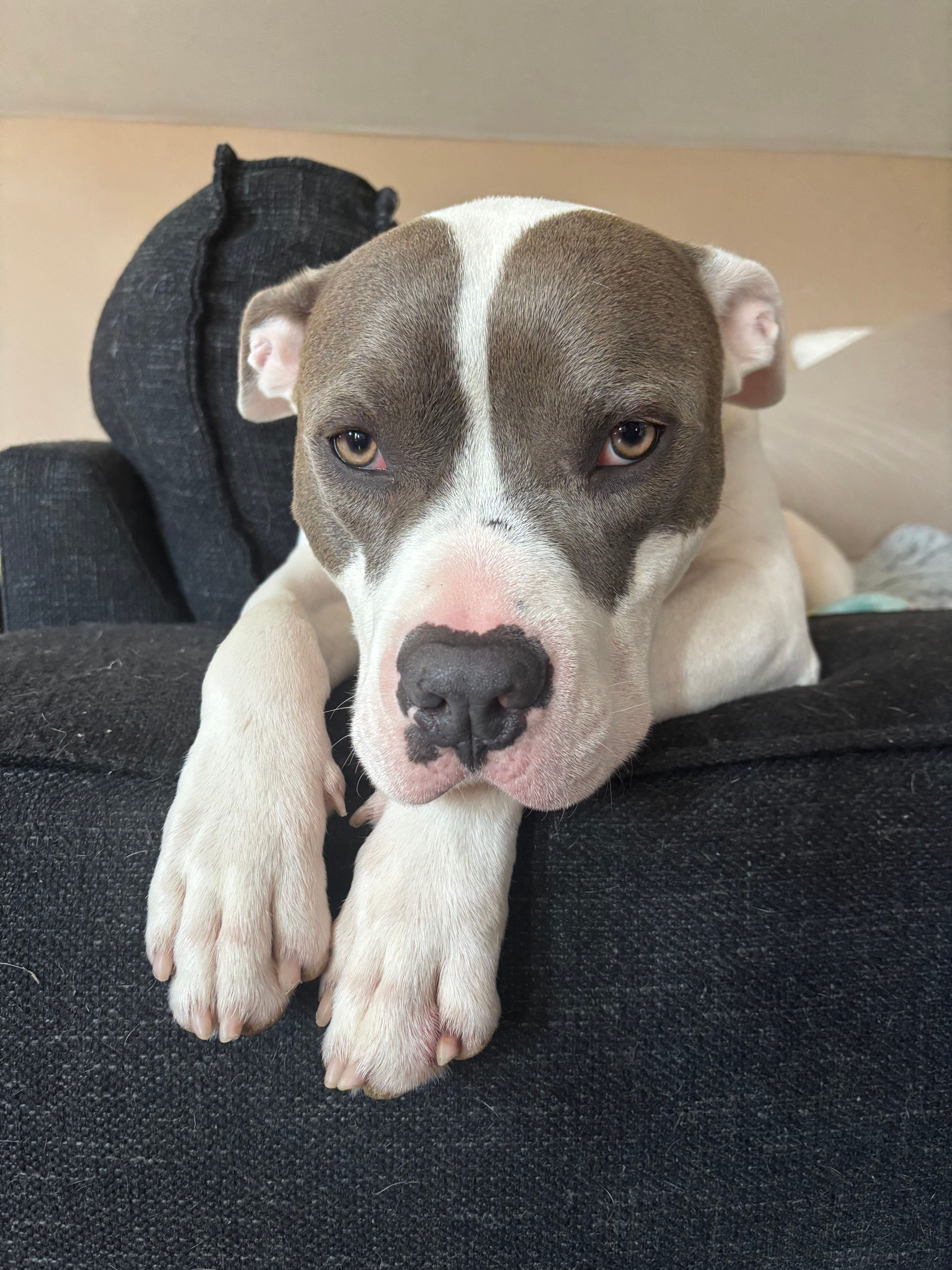 Miracle Lane Farm & Sanctuary