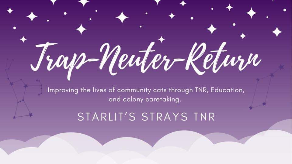 Starlit's Strays TNR