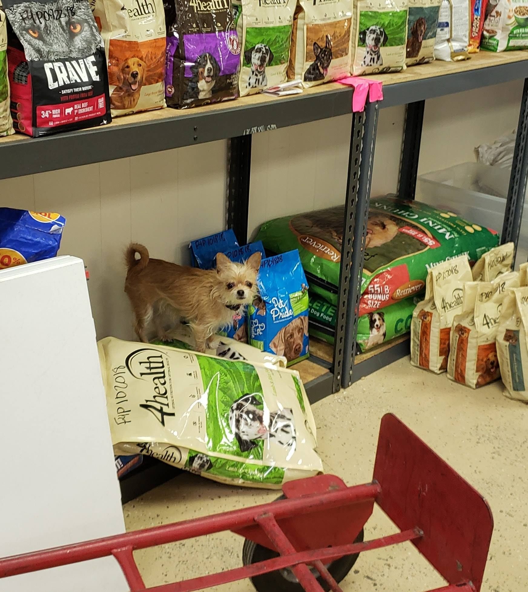 Food Four Paws Pet Pantry Inc
