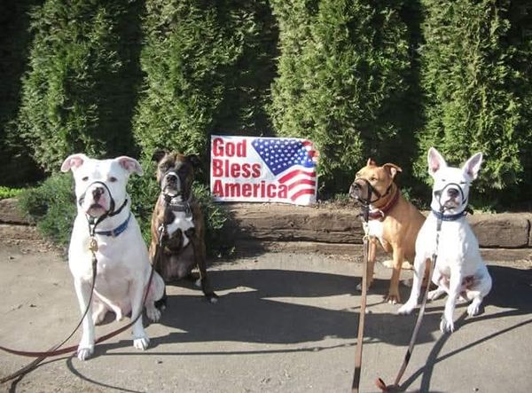 Love A Pit Rescue Inc