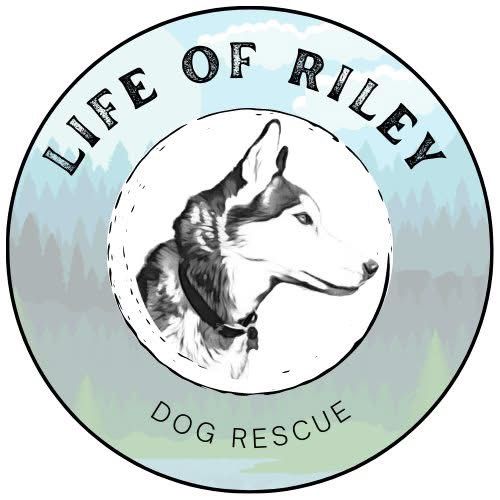 Life of Riley Dog Rescue