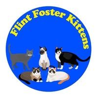 Flint Foster Kittens of Del Rio
