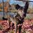 Paws Along the River Humane Society