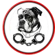 Justice For Abused Animals INC.