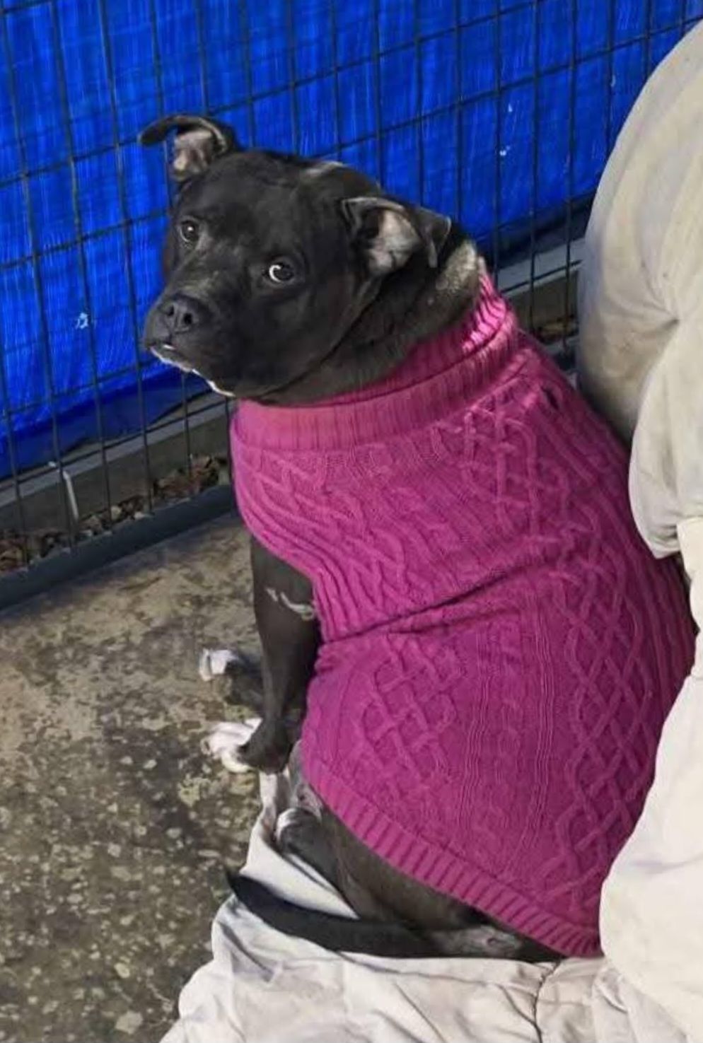 Jerry Ann Kirkland Rescue