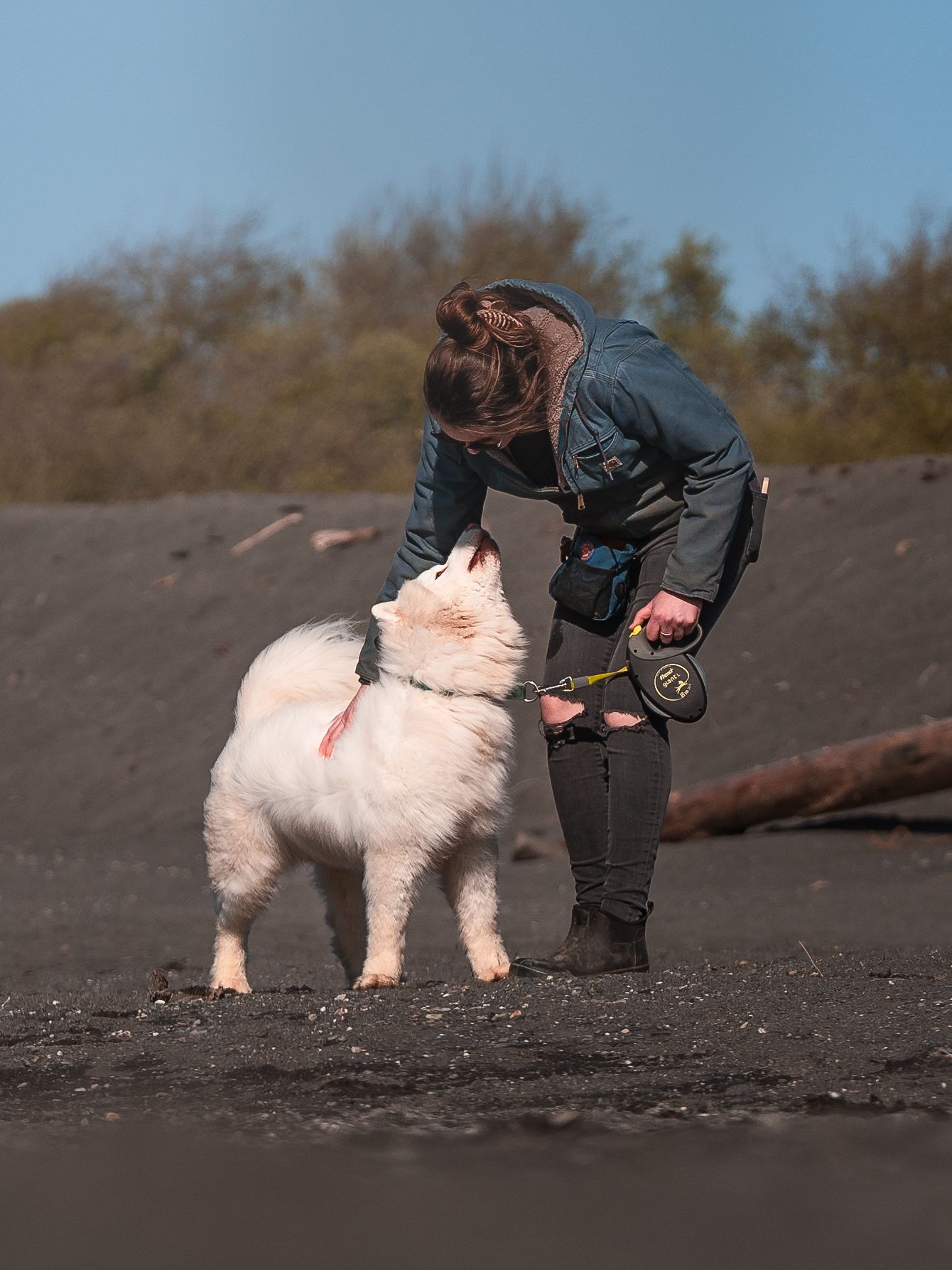 Rise Rescue Alliance