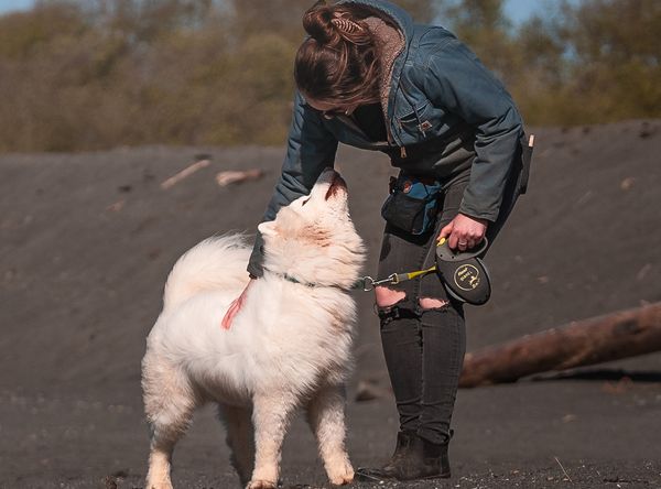 Rise Rescue Alliance