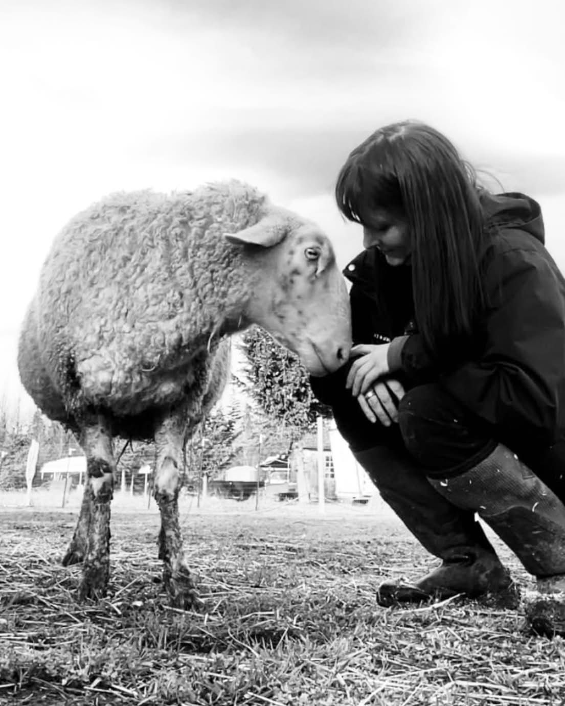 Lilly’s Safe Haven