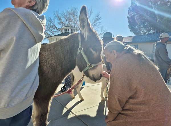 California Breakfast Burritos