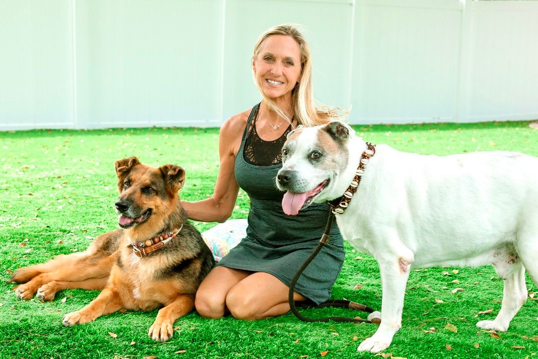 Payton's Promise Sanctuary