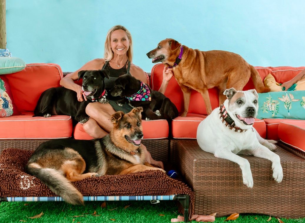 Payton's Promise Sanctuary