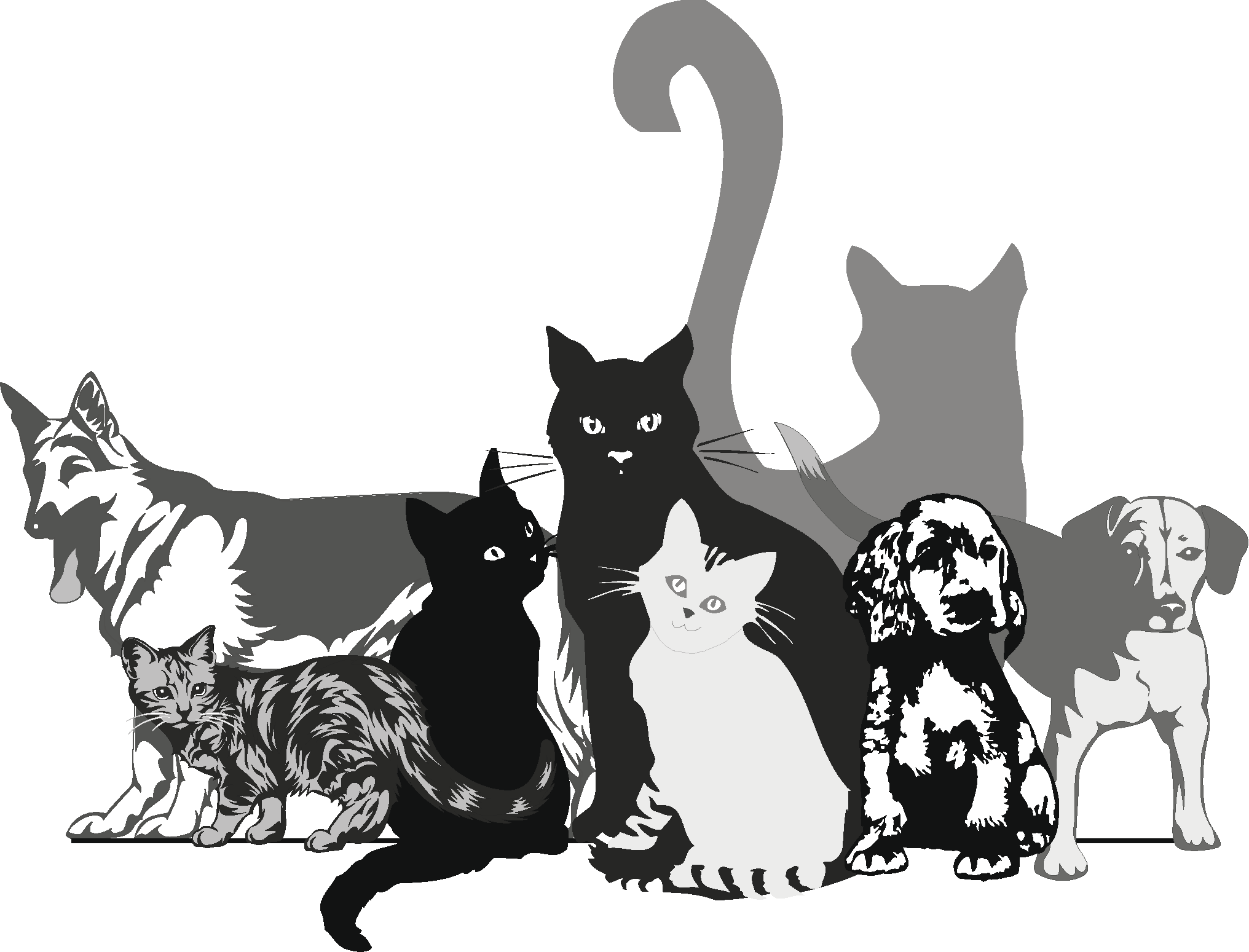 Heavenly Pet Sanctuary