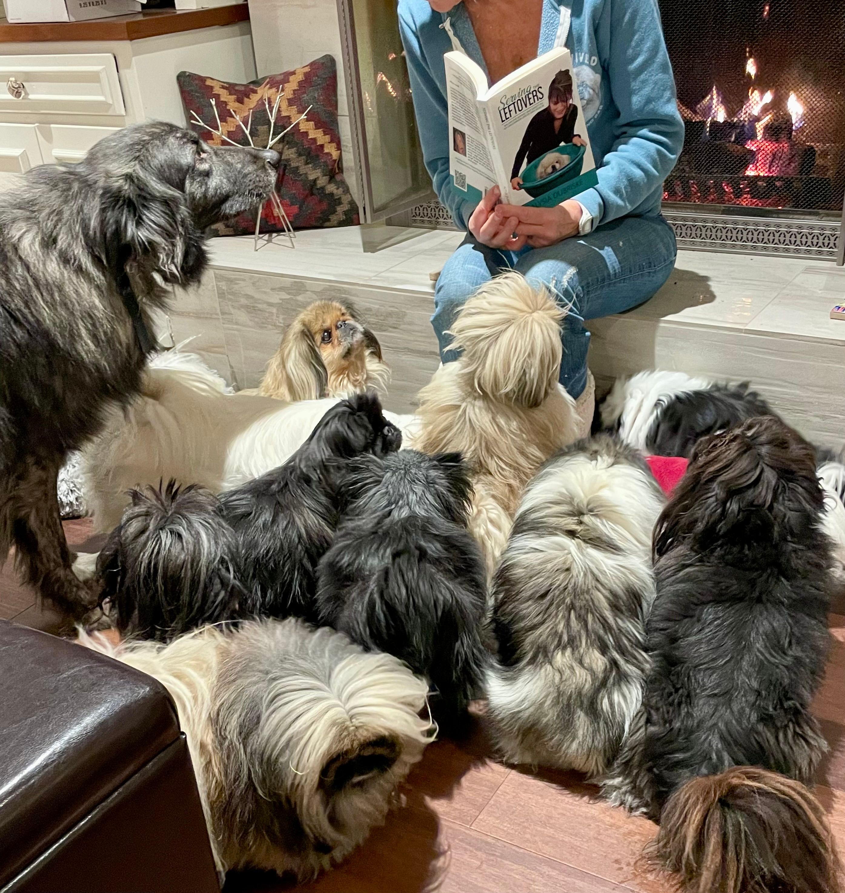 Liz E.'s Pekingese Rescue and Sanctuary