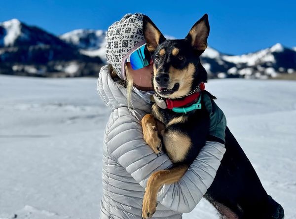 Telluride Humane Society