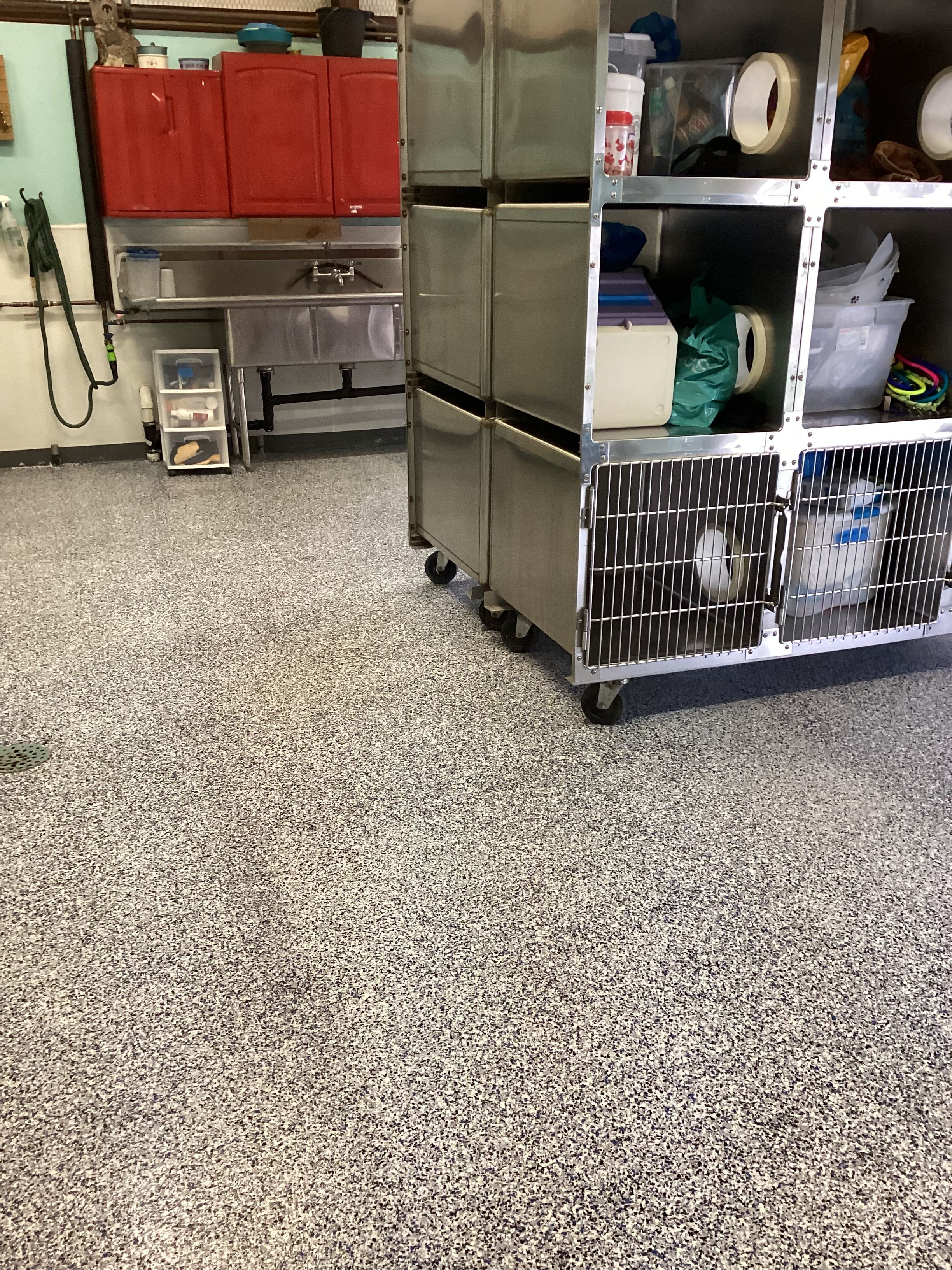 PAWSecond Chance Rescue