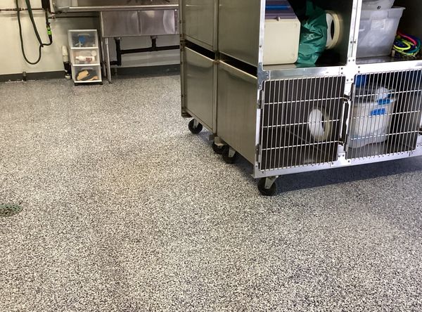 PAWSecond Chance Rescue