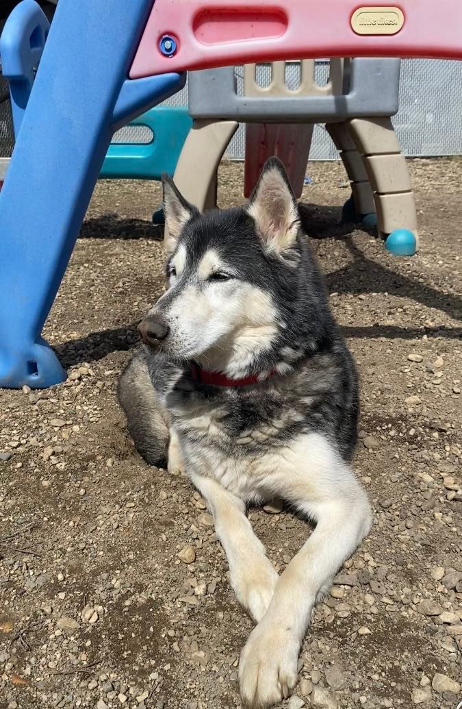 Grant County Humane Society