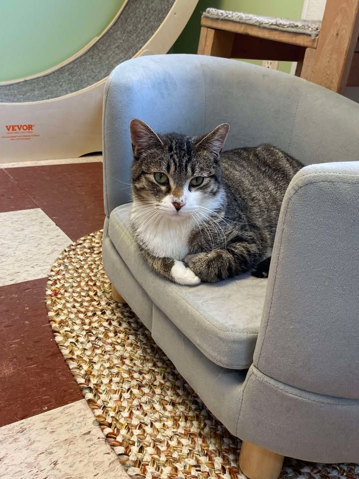 Grant County Humane Society