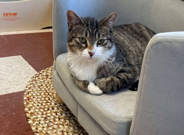 Grant County Humane Society