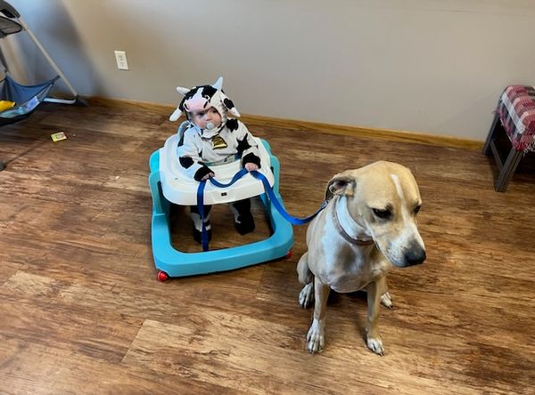 Grant County Humane Society