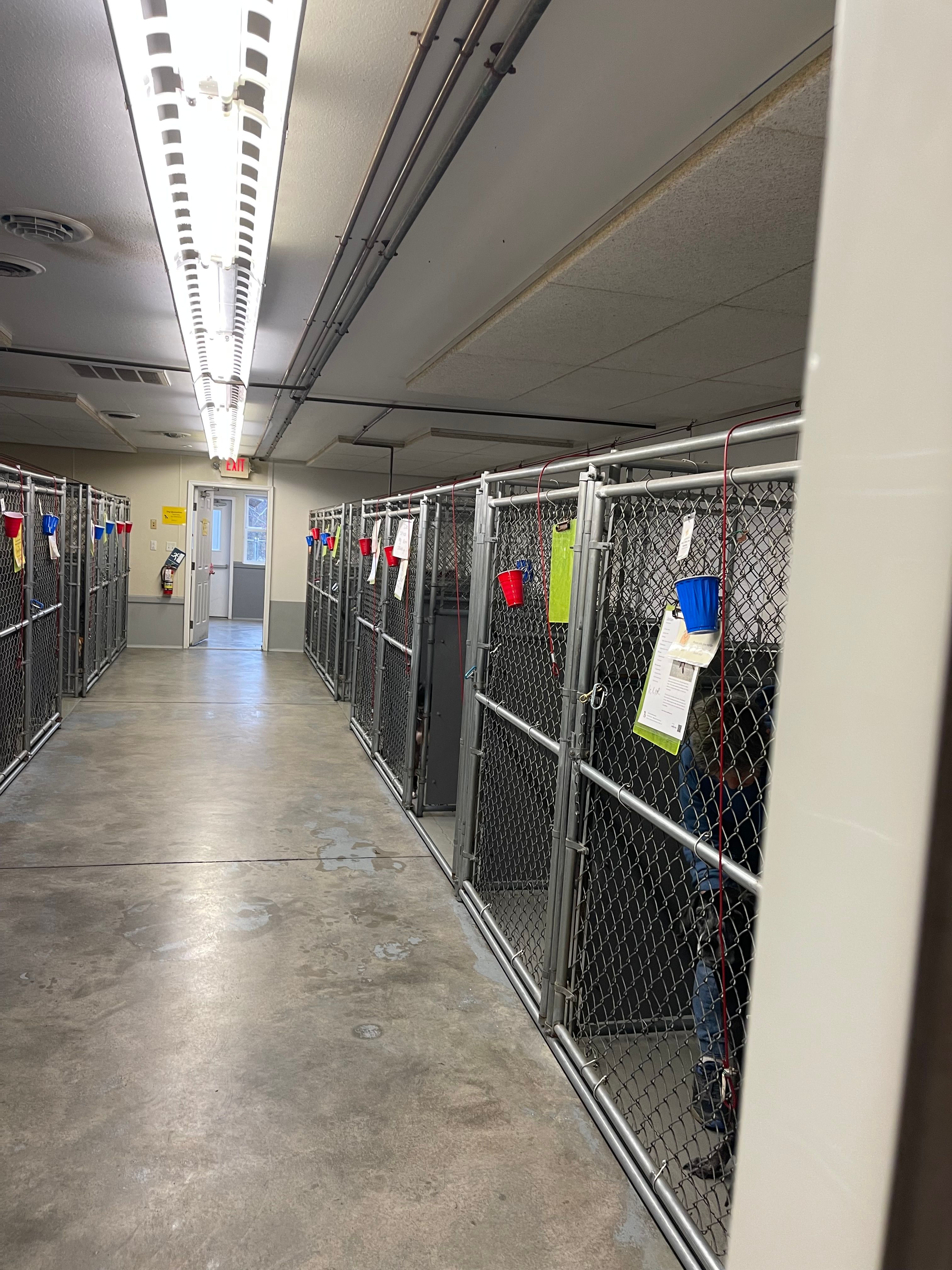 Elk County Humane Society