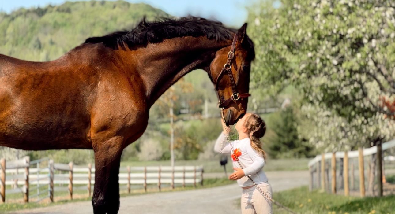 Storeybrook Farm Sanctuary, Inc