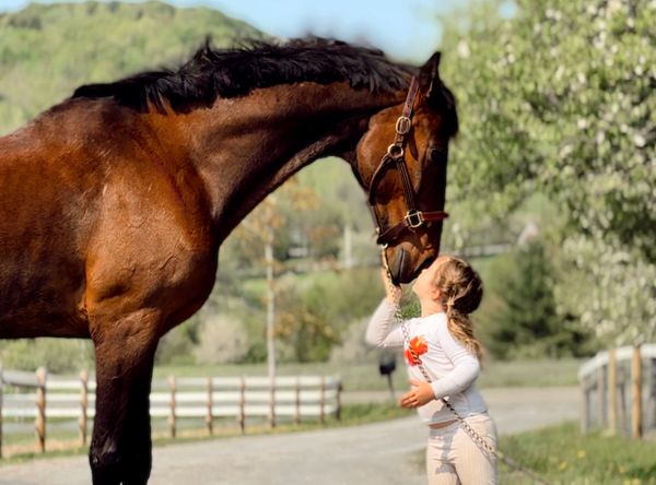 Storeybrook Farm Sanctuary, Inc