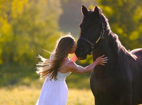 Storeybrook Farm Sanctuary, Inc