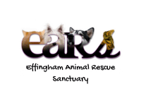 Effingham Animal Rescue Sanctuary