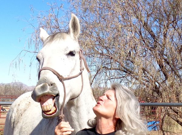 Harmony and Hope Horse Haven