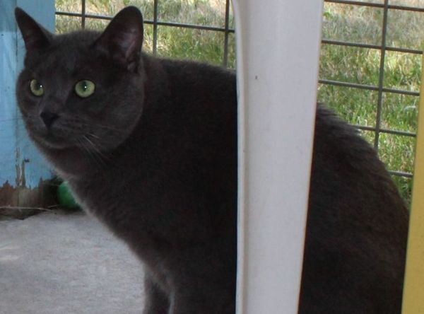 Beadle County Humane Society