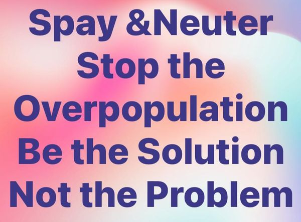 Friends of Horseshoe Bend Animals