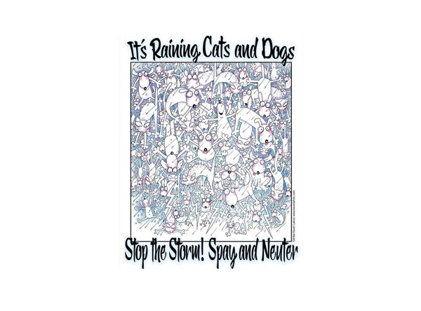 It's Raining Cats And Dogs