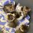 Washburn County Area Humane Society