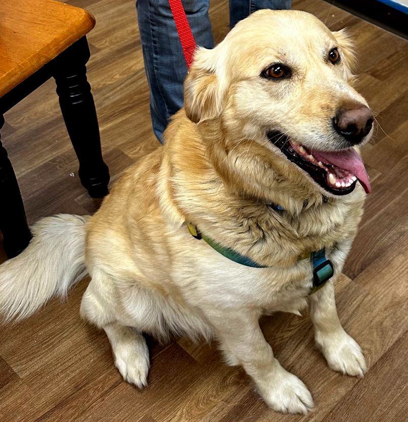 Washburn County Area Humane Society