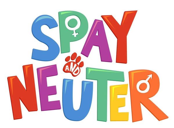 Lucky Two Times Animal Sanctuary and Advocacy Programs