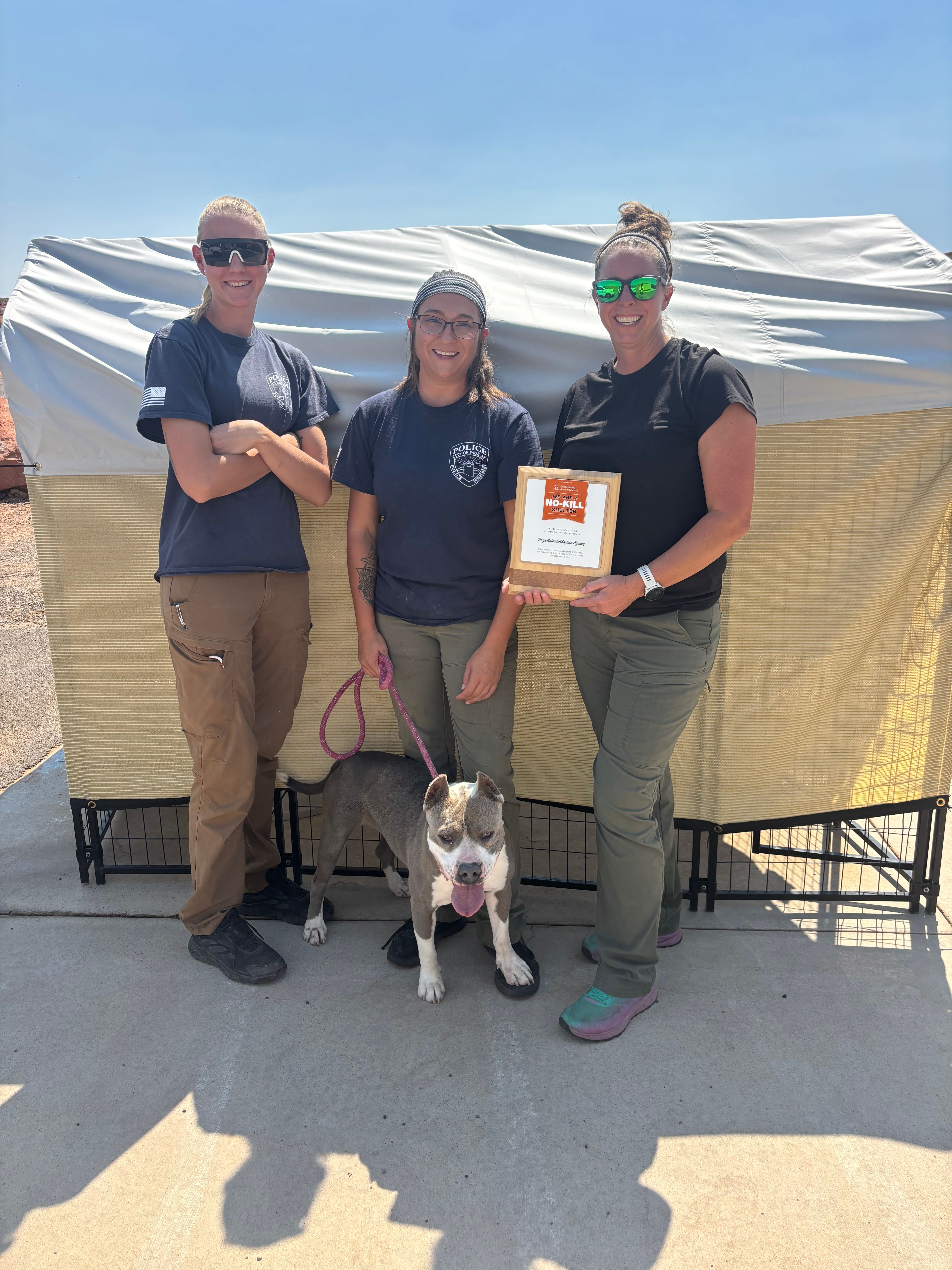 Page Animal Adoption Agency