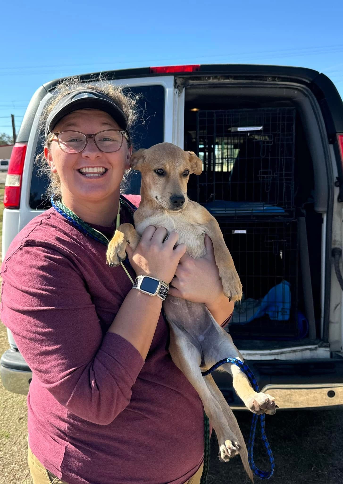 Wellington Rescue Shelter