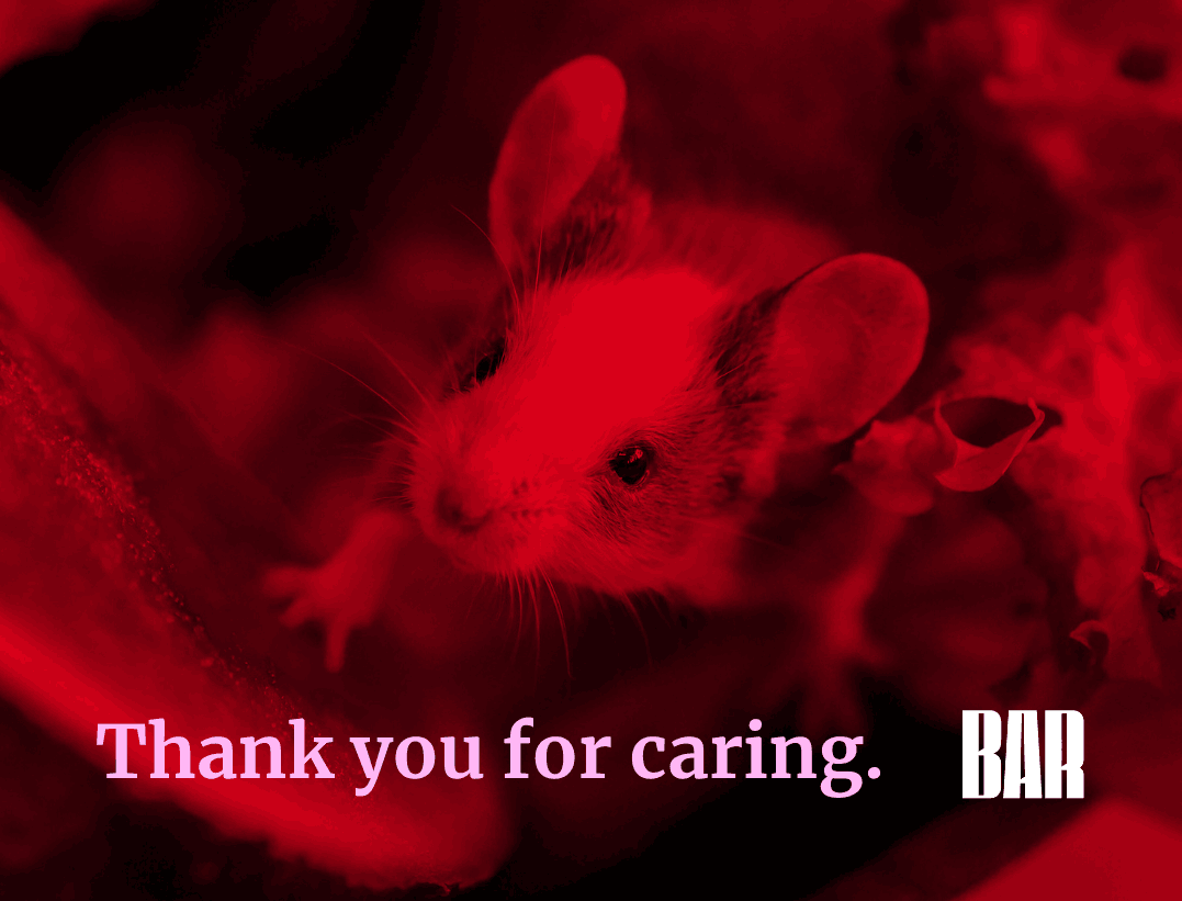 Beyond Animal Research