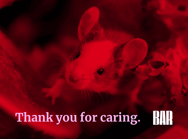 Beyond Animal Research